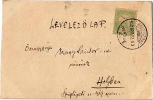 1902 Nagyvárad, Oradea; kézzel festett művészlap / hand-painted art postcard (vágott / cut)