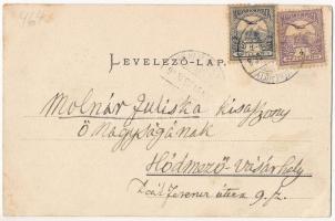 1903 Marosvásárhely, Targu Mures; Kossuth szobor, Bodor-kút, Takarékpénztár, Temesvári M., Bucher La...