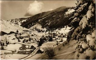 1950 Tátra, Alacsony-Tátra, Nízke Tatry; Vysná Boca / látkép télen / general view in winter