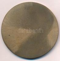 1985. "Egészségnevelési Szakoktatási Konferencia - Szeged 1985" Br emlékérem (67mm) T:1-