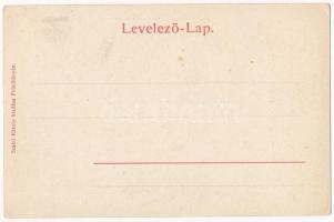 Felsőbánya, Baia Sprie; Kirándulók a Bódi-tónál. Szabó Károly kiadása. Túry József amatőr felvétele ...