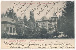 1905 Borszék, Borsec; Urmánczy és Török villa / villas (EK)