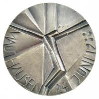 NSZK 1988. "II. János Pál / Mauthausen 1988. június 24." ezüstözött Br emlékérem. Szign.: ...