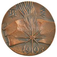 Soltra Elemér (1922-2013) 1993. "Mária a kis Jézussal" kétoldalas Br plakett (53mm) T:1-