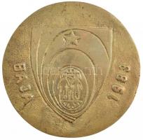 1983. "Audiológiai Vándorgyűlés / Baja 1983" öntött Br emlékérem (97mm) T:2