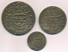 DN Az első modernkori Olimpia díjérmeinek éremképével készült másolat, 3xklf méretben (61mm, 50mm, 3...