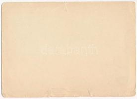 1933 Deutschland, Deutschland über alles! / Adolf Hitler sworn in as Chancellor of Germany by German...