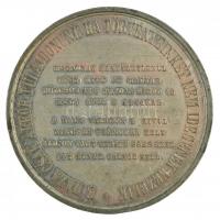 1861. "Országgyűlési Emlék" kétoldalas Sn emlékérem. "HON SZERETET 'S EGYETÉRTÉS...