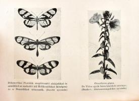 Pongrácz Sándor: A mindennapi élet biológiája 69 képpel és 1 térképpel. Bp., Franklin társulat. Kiad...