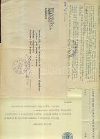 cca 1930-1950 Bozó Gyula grafikusművész okmány hagyaték érdekes levelekkel, okmányokkal 11 db
