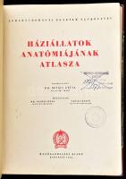 Háziállatok anatómiájának atlasza. Szerk.: Kovács Gyula. Munkatársak: Guoth Gyula, Glósz László. Agrártudományi Egyetem Tankönyve. Bp., 1952., Mezőgazdasági. Átkötött félvászon-kötés, kopott borítóval, javított gerinccel, volt könyvtári példány, intézményi bélyegzésekkel, ceruzás aláhúzásokkal, jegyzettel. Megjelent 3500 példányban.