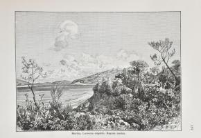 Az Osztrák-Magyar Monarchia írásban és képben. Bevezető kötet. Bp., 1887, Magyar Királyi Államnyomda...