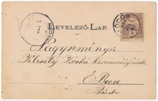 1901 Módos, Jasa Tomic; vasútállomás, vonat, gőzmozdony. Lustein Márcus kiadása / Bahnhof / railway ...