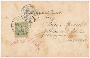 1906 Torontálalmás, Torontál-Almás, Apfeldorf, Jabuka; Gruss aus der Torontal-Almáser Stärke-Fabrik ...