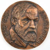 Varga Mátyás (1910-2002): Juhász Gyula 1883-1983. Öntött bronz falplasztika, jelzett, apró kopással, d: 17,5 cm