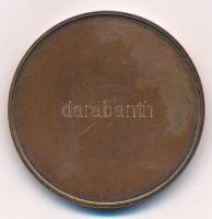 DN "Árpád vezér - Feszty körkép Ópusztaszer" egyoldalas Br emlékérem. Szign.: LS (42,5mm) ...