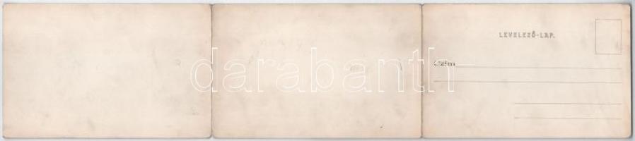 Szeged, 3-részes kihajtható panorámalap. Divald Károly kiadása (hajtásnál szakadt / torn at fold)