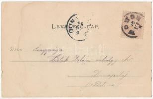 1899 (Vorläufer) Monor, Borpincék, szőlő. Herodek István kiadása (r)