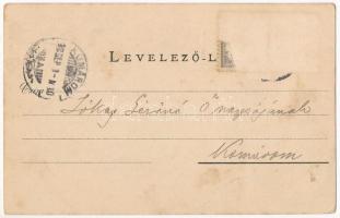 1898 (Vorläufer) Szentes, Megyeháza. Untermüller Ernő kiadása. Art Nouveau, floral (Rb)