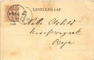 1899 (Vorläufer) Szekszárd, Megyeháza. Fischhof Mór kiadása (EK)