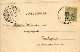 1903 Cegléd, látkép a toronyból, templom, üzletek. Sárik Gyula kiadása (fa)