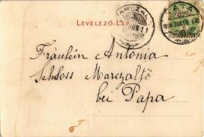 1904 Tata, Tata-Tóváros; Grófi kastély. Nobel Adolf kiadása (r)