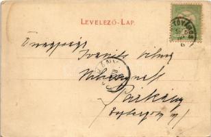 1905 Tata, Tata-Tóváros; Vár árka, várárok, szarvasokkal és őzekkel. Nobel Adolf kiadása (r)