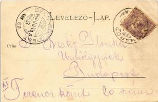 1900 Nagymaros, látkép. Stefan Zoller kiadása + "BÉCS - BUDAPEST 117. SZ. B" vasúti mozgóp...