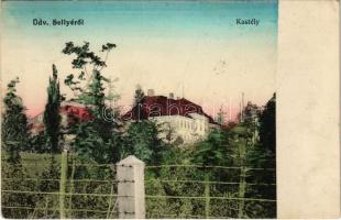 1913 Sellye, Gróf Draskovich kastély (EK)