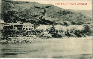 1916 Tokaj látképe világhírű szőlőjével. Helm Sámuel kiadása (EB)