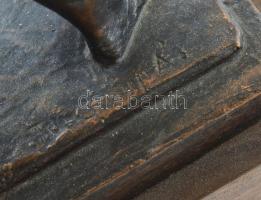 Turcsányi Árpád (1921-1998): Akt. Bronzírozott műanyag fa talapzaton, képcsarnokos címkével, hibátla...