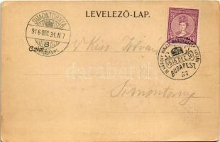 Bodrogszerdahely, Streda nad Bodrogom; Báró Vécsey féle kastély / castle + "1916 IV. Károly kir...