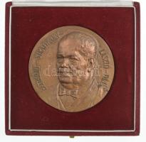 Kampfl József (1939-) 1992. "Batthyány-Strattmann László-díj" egyoldalas, öntött bronz eml...