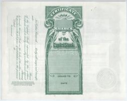 Amerikai Egyesült Államok / New York 1915. "Nonpareil Financial Corporation" 45 részvénye ...