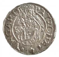 1565K-B Denár Ag "I. Ferdinánd" (0,49g) T:2 patina
1565K-B Denar Ag "Ferdinand I&quo...