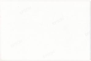 Bihardiószeg, Diosig; Berger Ignácz és fia fa és sóraktár, üzlet, református és izraelita templom, z...