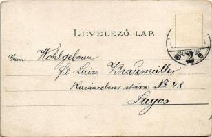 1903 Pozsony, Pressburg, Bratislava; Aupark / Liget / park. Ottmar Zieher (kopott sarkak / worn corn...