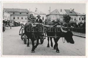 Nagybánya, Baia Mare; piac, bivalyszekér / market with buffalo cart