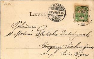 1902 Zboró, Zborov; várrom. Divald Adolf 24. / castle ruins (EK)