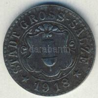 Német Birodalom/Weimari Köztársaság/Gross-Salze 1918. 10Pf szükségpénz T:2-/3