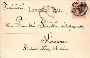 1900 Trencsénteplic, Trencianske Teplice; látkép. Gansel Lipót kiadása / general view