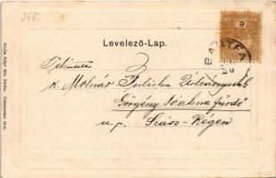 1902 Bártfafürdő, Bardejovské Kúpele, Bardiov, Bardejov; Főforrás és gyógyterem. Salgó Mór kiadása /...