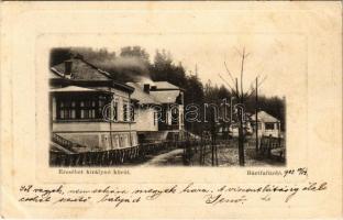 1902 Bártfafürdő, Bardejovské Kúpele, Bardiov, Bardejov; Erzsébet királyné körút, nyaraló. Salgó Mór kiadása / street view, villa (fl)