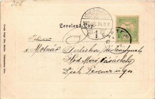 1902 Bártfafürdő, Bardejovské Kúpele, Bardiov, Bardejov; Erzsébet királyné körút, nyaraló. Salgó Mór...