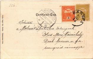 1902 Bártfafürdő, Bardejovské Kúpele, Bardiov, Bardejov; Felső Úri utca, nyaraló. Salgó Mór kiadása ...