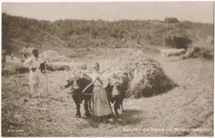 Salutari din Romania, Munca Campului / Romanian folklore, farming