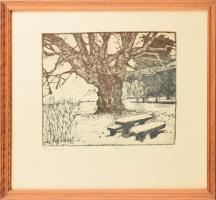 Túry Mária (1930-1992): Öreg tölgyfa. Rézkarc, papír, jelzett. Számozott (49/100). Üvegezett fa keretben, 24×29 cm