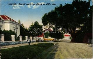 1927 Csurgó, 1000 éves tölgyfa és diófa utca (EK)