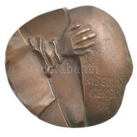 1995. Kisebbségekért díj egyoldalas, öntött bronz plakett, eredeti bőr dísztokban (91x95mm) T:1-