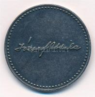 DN "József Attila 1905-2005" fém emlékérem (42,5mm) T:1-